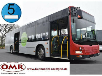Autobús urbano MAN A 37 Lion´s City /A20/A21/530/Citaro/EEV: foto 1