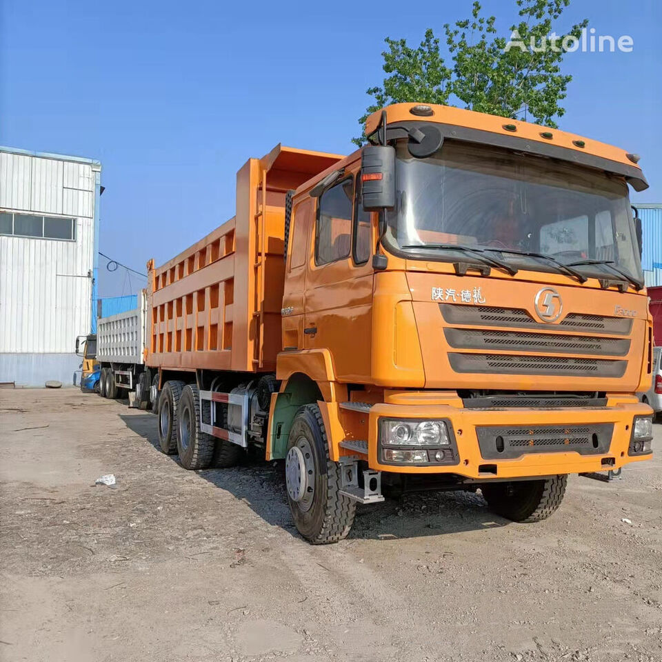 Camión volquete F3000 6x4 drive 10 wheeled tipper truck orange color: foto 2