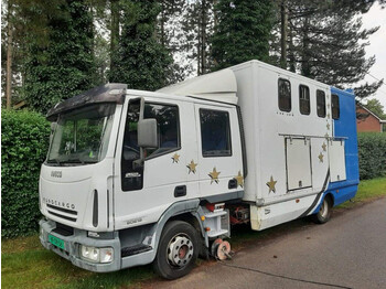 Camión transporte de ganado Iveco Eurocargo 80.180pk 7 persoons 7 persoons cabine: foto 1