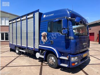 Camión transporte de ganado MAN TGL 8.210 LIVESTOCK | 2 Deck | APK: foto 1
