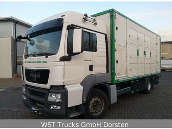 Camión transporte de ganado MAN TGX 18.480 LX Menke 2 Stock Vollalu: foto 1