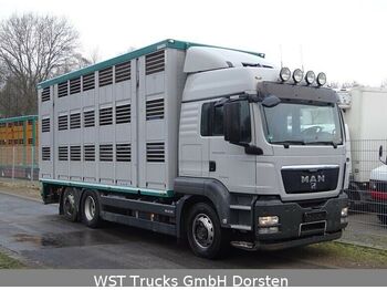 Camión transporte de ganado MAN TGX 26.440 LXL Menke   3 Stock Vollalu: foto 1