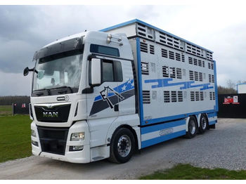 Camión transporte de ganado MAN TGX 26.560: foto 1