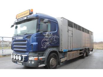Camión transporte de ganado Scania R480 LB 6X2*4 HNB: foto 1