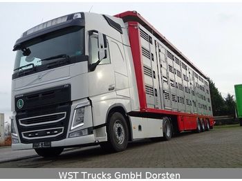Camión transporte de ganado Volvo FH 460  XL Menke 4 Stock Vollausstattung: foto 1