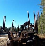Caja de cambios y piezas para Maquinaria forestal Ponsse Buffalo breaking for parts: foto 19
