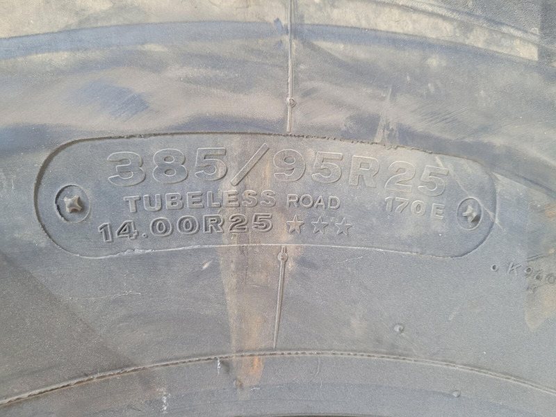 Neumáticos y llantas para Grúa Wheel 14:00 R25 12 5,5 3d: foto 4