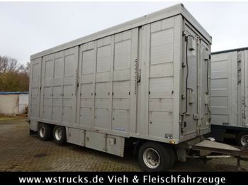 Remolque transporte de ganado Menke 2 Stock Ausahrbares Dach Vollalu  7,50m: foto 1