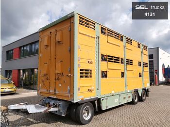 Remolque transporte de ganado Pezzaioli RBA31 / Hubdach / 3 Stock: foto 1