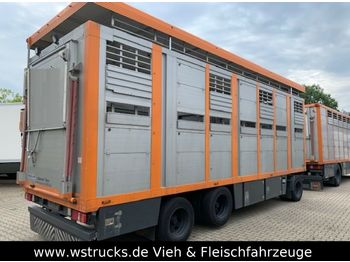 Menke 2 Stock Ausahrbares Dach Vollalu  - Remolque transporte de ganado