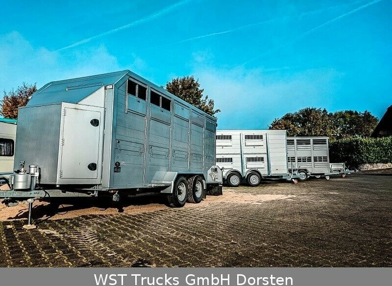 Remolque transporte de ganado nuevo WST Edition  Voll ALU "NEU" Viehanhänger 3,5to: foto 7