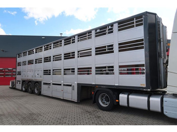 Semirremolque transporte de ganado