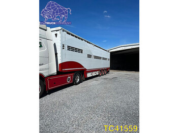 Semirremolque transporte de ganado Pezzaioli Animal Transport: foto 1