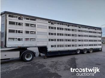 Semirremolque transporte de ganado Pezzaioli SBA32/G 5 Stock: foto 1