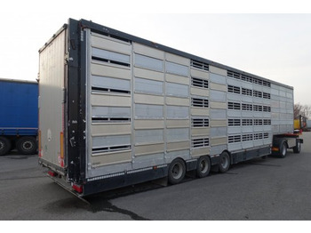 Semirremolque transporte de ganado Pezzaioli SBA32/G , 5 Stock , Viehtransporter  , Tränkeranlage,: foto 4