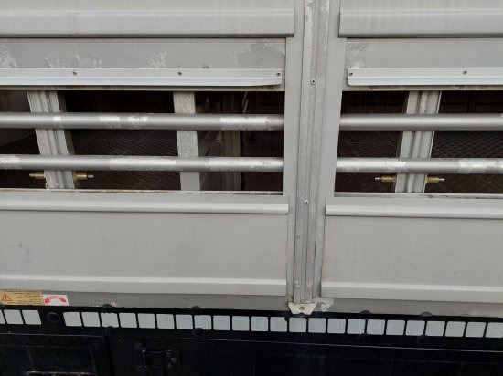 Semirremolque transporte de ganado Pezzaioli SBA32/G , 5 Stock , Viehtransporter  , Tränkeranlage,: foto 12
