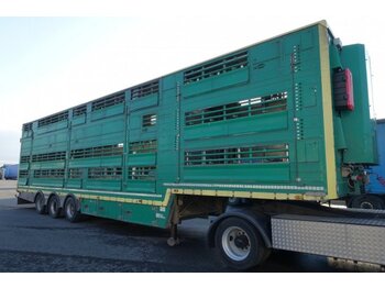 Semirremolque transporte de ganado Pezzaioli SBA32/U, 3 Stock , Viehtransporter  , Tränkeranlage,: foto 1