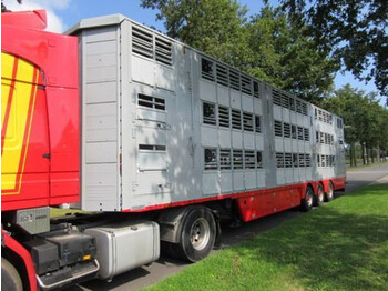 Semirremolque transporte de ganado Pezzaioli SBA 62 U: foto 1