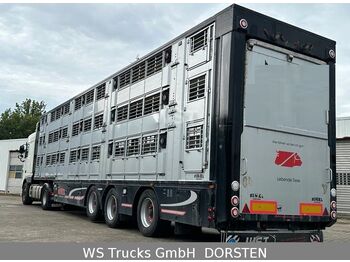 Finkl 3 Stock  Vollausstattung Hubdach  - Semirremolque transporte de ganado