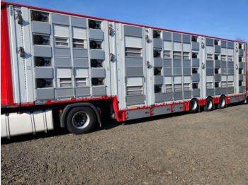 PEZZAIOLI SBA32U - Semirremolque transporte de ganado