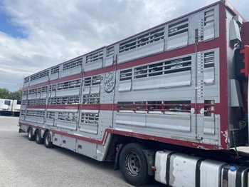  Pezzaioli , 3 Stock , Viehtransporter  , Tränkeranlage, 2 Stück - Semirremolque transporte de ganado