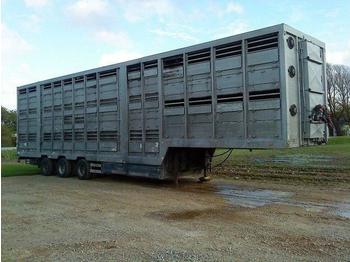 Pezzaioli 3 stock. schweine auflieger  - Semirremolque transporte de ganado