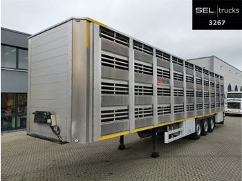 Pezzaioli CIMC / SR03 / 4 Stock / Typ 2 / Ferkeltransporte  - Semirremolque transporte de ganado