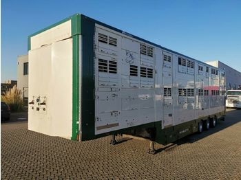 Pezzaioli Michieletto SM39 / 3 Stock / Thermoking  - Semirremolque transporte de ganado