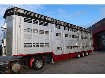 Pezzaioli SBA31U - Semirremolque transporte de ganado