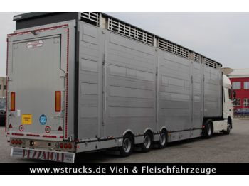 Pezzaioli SBA31-SR  3 Stock "Neu" Vermietung  - Semirremolque transporte de ganado