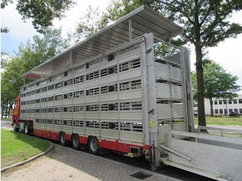 Pezzaioli SBA 31 G - Semirremolque transporte de ganado