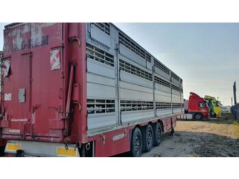 Semirremolque transporte de ganado Pezzaioli SBA-63, 3Stock: foto 1