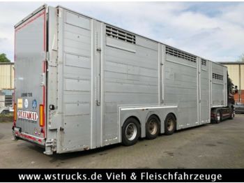 Pezzaioli SBA 63 3Stock  Vollausstattung GPS Top Zustand  - Semirremolque transporte de ganado