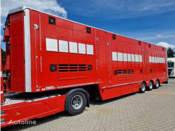 Pezzaioli SB 32 - Semirremolque transporte de ganado