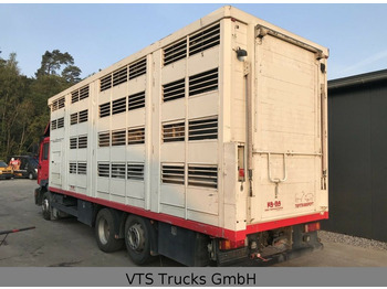 Camión transporte de ganado MAN