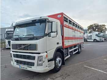 Camión transporte de ganado VOLVO FM