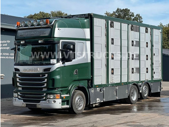 Scania R500 V8 6x2 Euro 5 4.Stock Menke Hubdach  - Camión transporte de ganado: foto 1