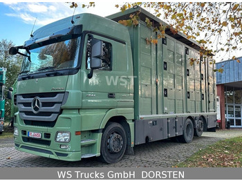 Mercedes-Benz Actros  2544 Menke 3 Stock Vollalu Hubdach  - Camión transporte de ganado: foto 1