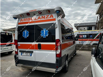 Leasing de FIAT FIAT 290 DUCATO FIAT FIAT 290 DUCATO: foto 2