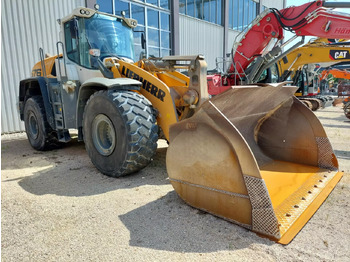 Cargadora de ruedas 2020 Liebherr L 576 XPower: foto 2