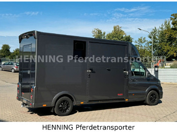 Leasing de MAN TGE 3 - Sitzer *KLIMA PFERDEABTEIL* MAN TGE 3 - Sitzer *KLIMA PFERDEABTEIL*: foto 5 Leasing de MAN TGE 3 - Sitzer *KLIMA PFERDEABTEIL* MAN TGE 3 - Sitzer *KLIMA PFERDEABTEIL*: foto 5