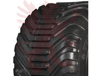 : imagen de cabecera