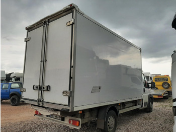 Furgoneta frigorifica PEUGEOT BOXER LAMBOX CHŁODNIA/IZOTERMA: foto 4