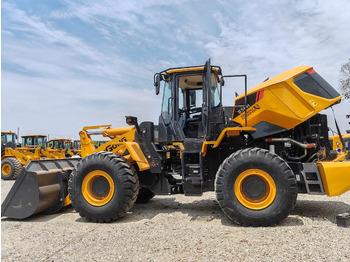 Excavadora de cadenas LIUGONG