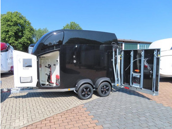 : imagen de cabecera