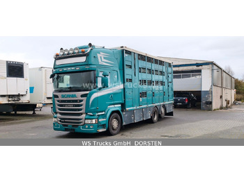 Camión para caballos SCANIA R 490