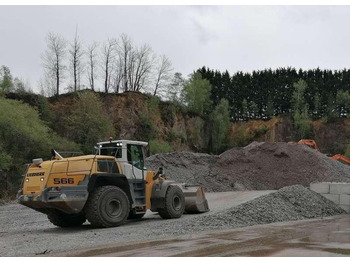 Cargadora de ruedas Liebherr L566: foto 5