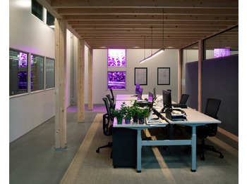 Casa contenedor