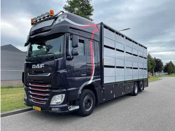 Leasing de DAF XF 460 - Animal transporter DAF XF 460 - Animal transporter: foto 1 Leasing de DAF XF 460 - Animal transporter DAF XF 460 - Animal transporter: foto 1