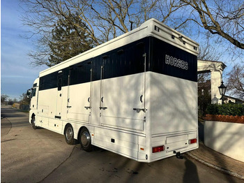 Camión para caballos MAN TGX 26.440 - Horse transporter: foto 4 Camión para caballos MAN TGX 26.440 - Horse transporter: foto 4